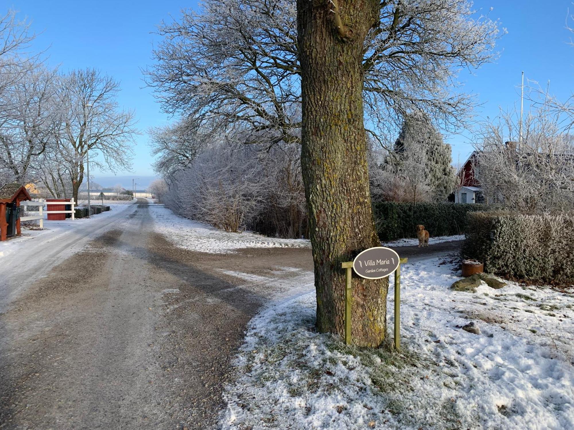 Villa Maria Garden Cottages, Helsingborg Extérieur photo